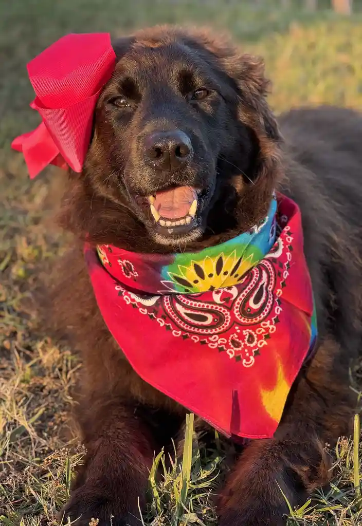 Feeling Cute: Someone's Having a Good Day