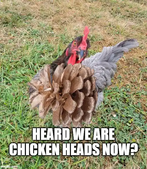 Team Pinecone is Here to Deliver a Message