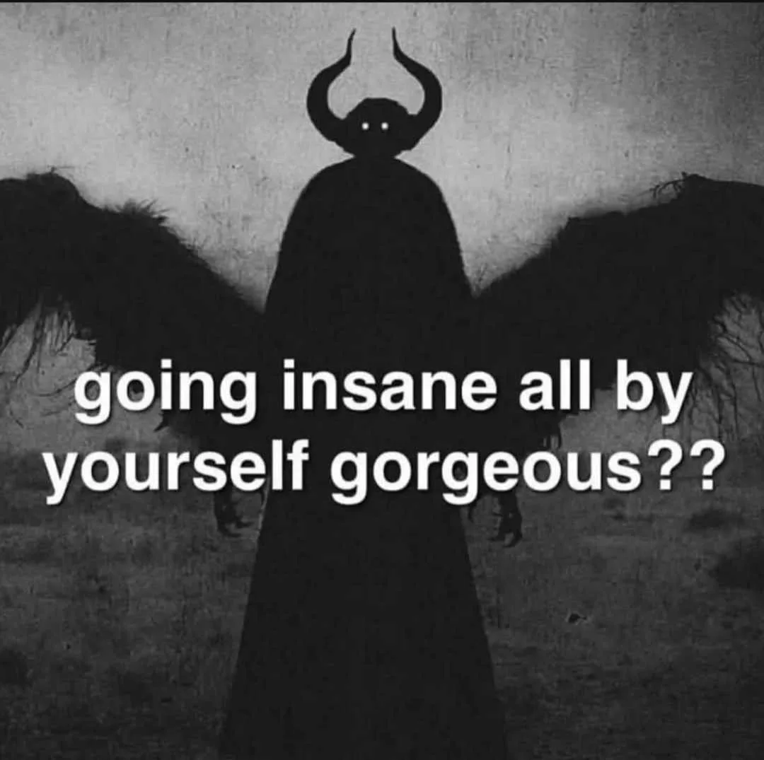 No Christmas Selfie Here, Just a Random Meme Collection Instead