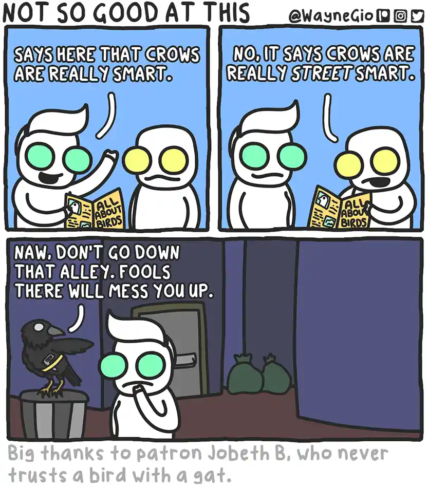 The intriguing world of crows