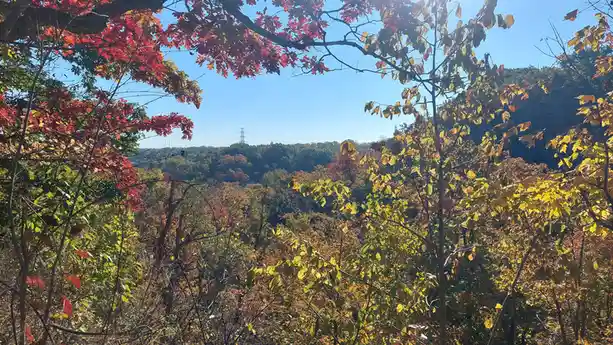 A scenic autumn forest view framed by vibrant red and yellow leaves in the foreground, with a distant hill covered in…