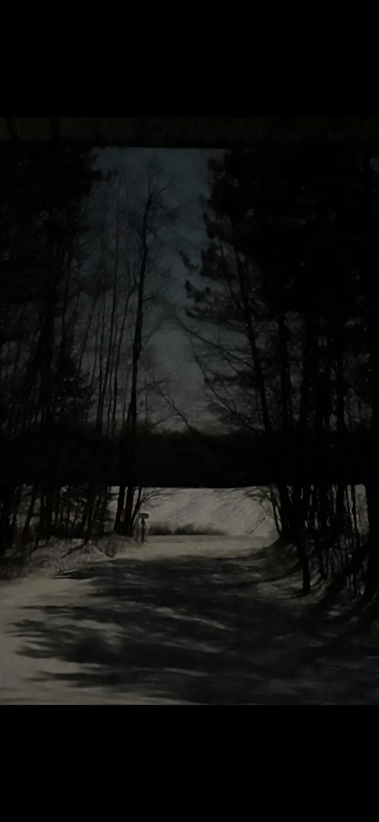 A dark, grainy image shows a snowy forest path at night, flanked by tall, silhouetted trees. A faint, blurry figure stands…