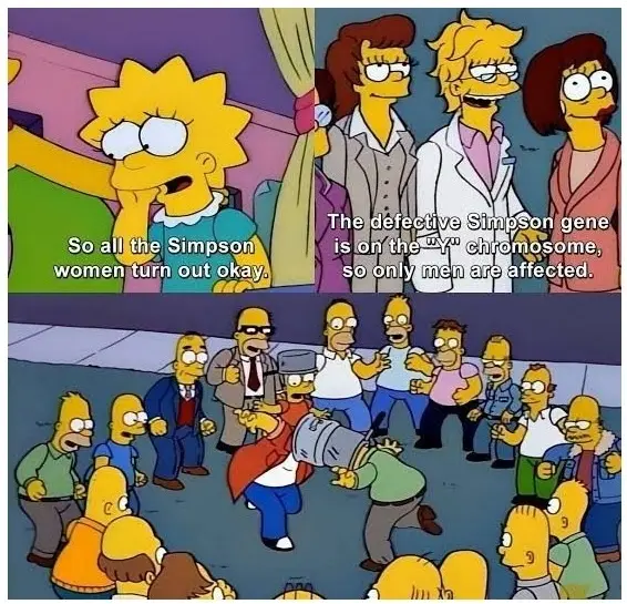 The image is a three-panel meme from The Simpsons. The top left panel shows Lisa Simpson looking concerned. The top right…