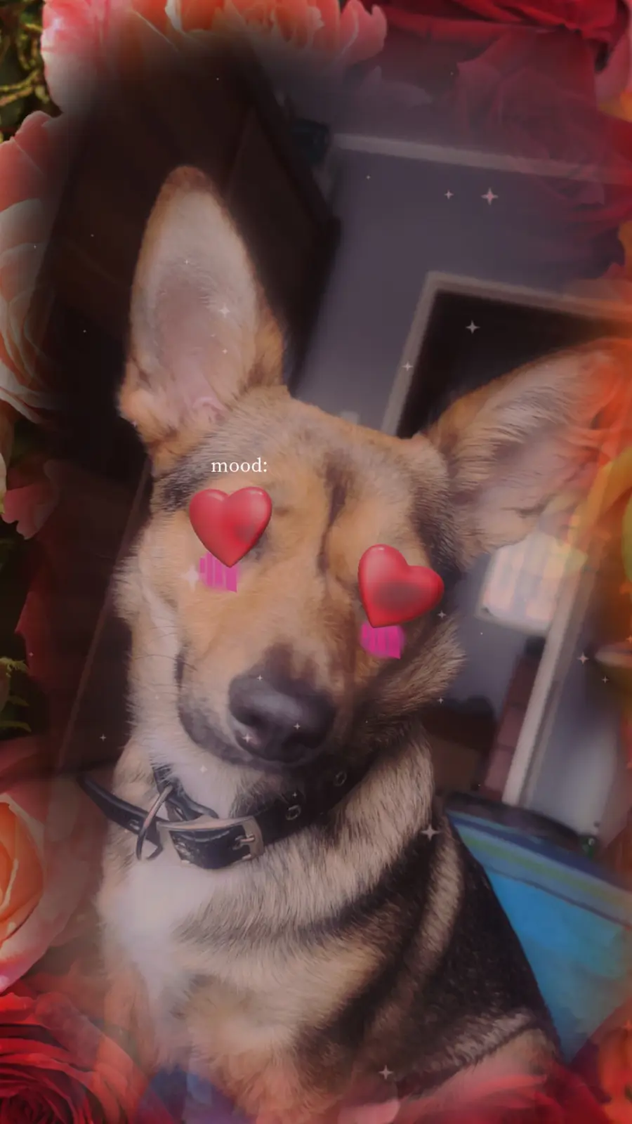 A close-up photo of a German Shepherd dog with its eyes covered by red heart emojis, set against a romantic background of…