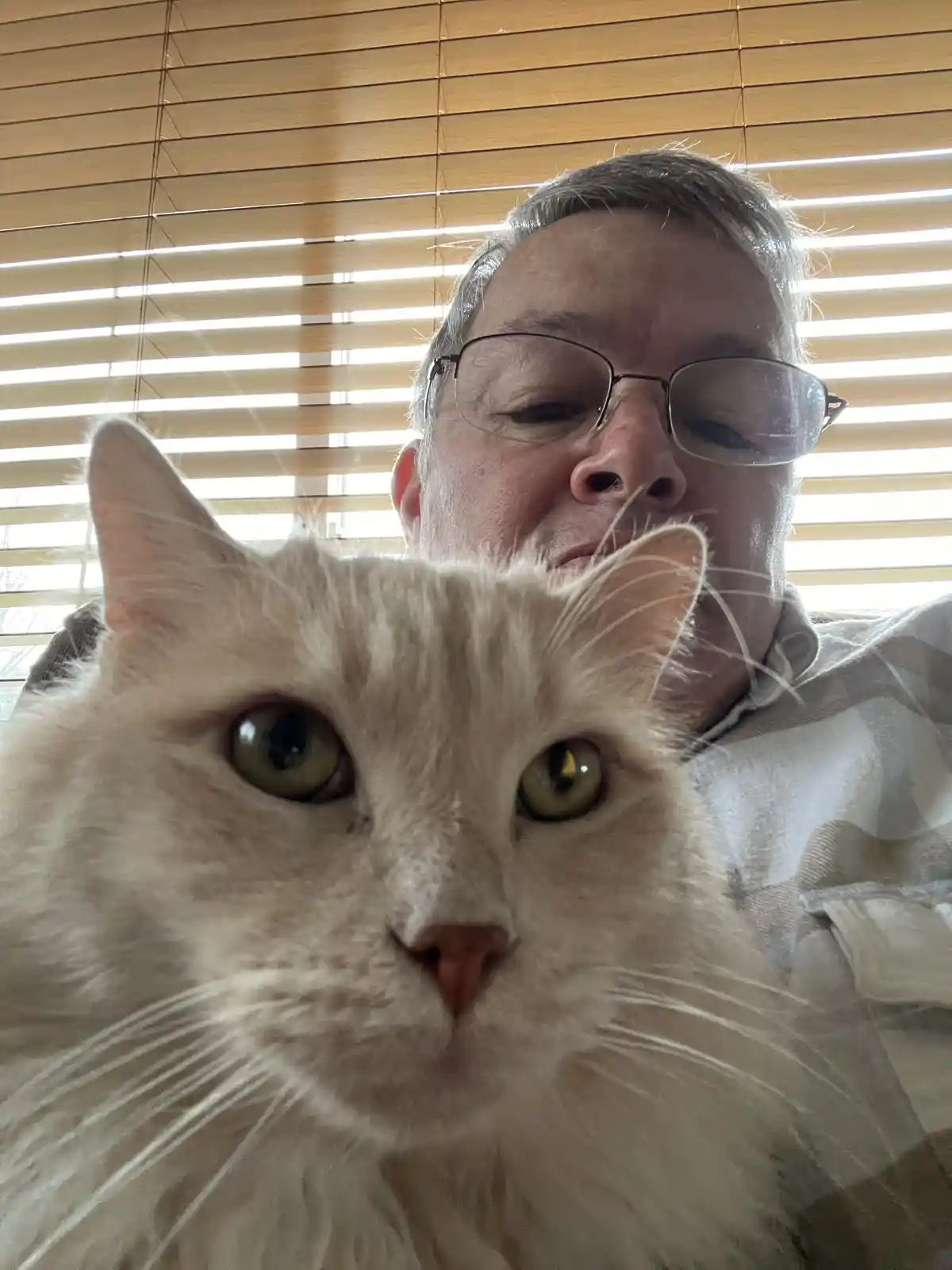 A close-up selfie shows a fluffy white cat with large green eyes looking directly at the camera, partially obscuring the…