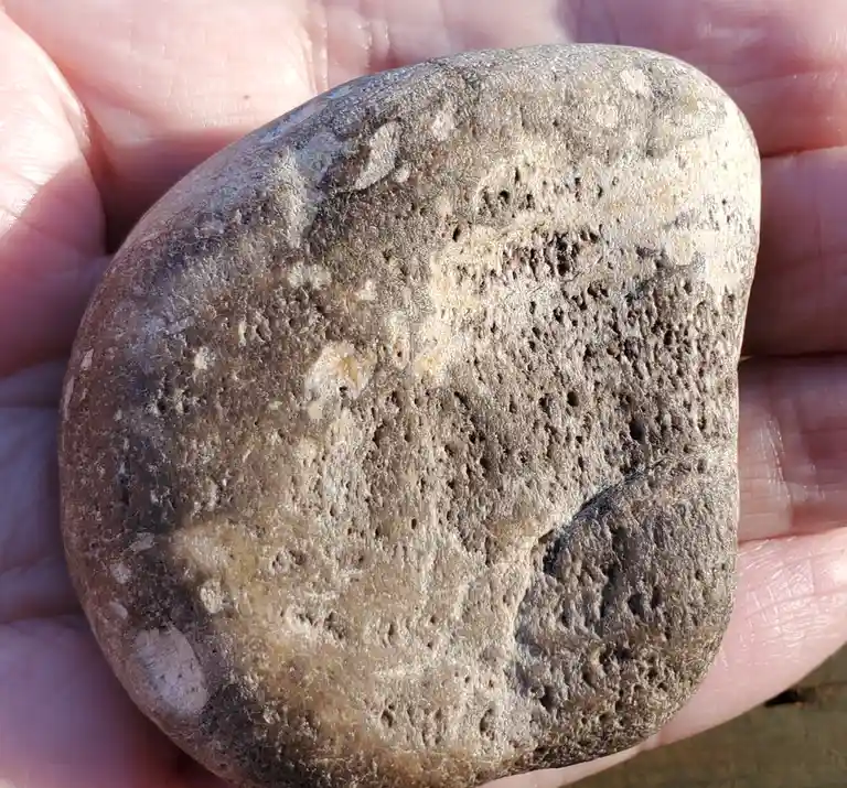 A close-up photo shows a person's hand holding a smooth, rounded, grayish-brown rock with a rough, pitted texture. The…