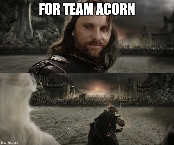 The image is a two-panel meme featuring Aragorn from 'The Lord of the Rings'. The top panel shows Aragorn looking determined…
