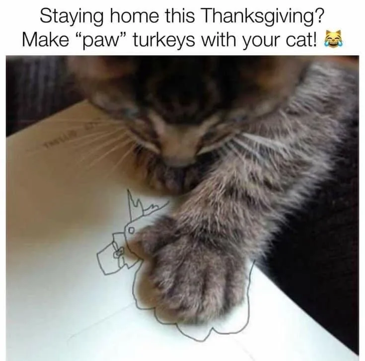A close-up photo shows a tabby cat's paw resting inside a hand-drawn outline of a turkey on a piece of paper. The cat is…