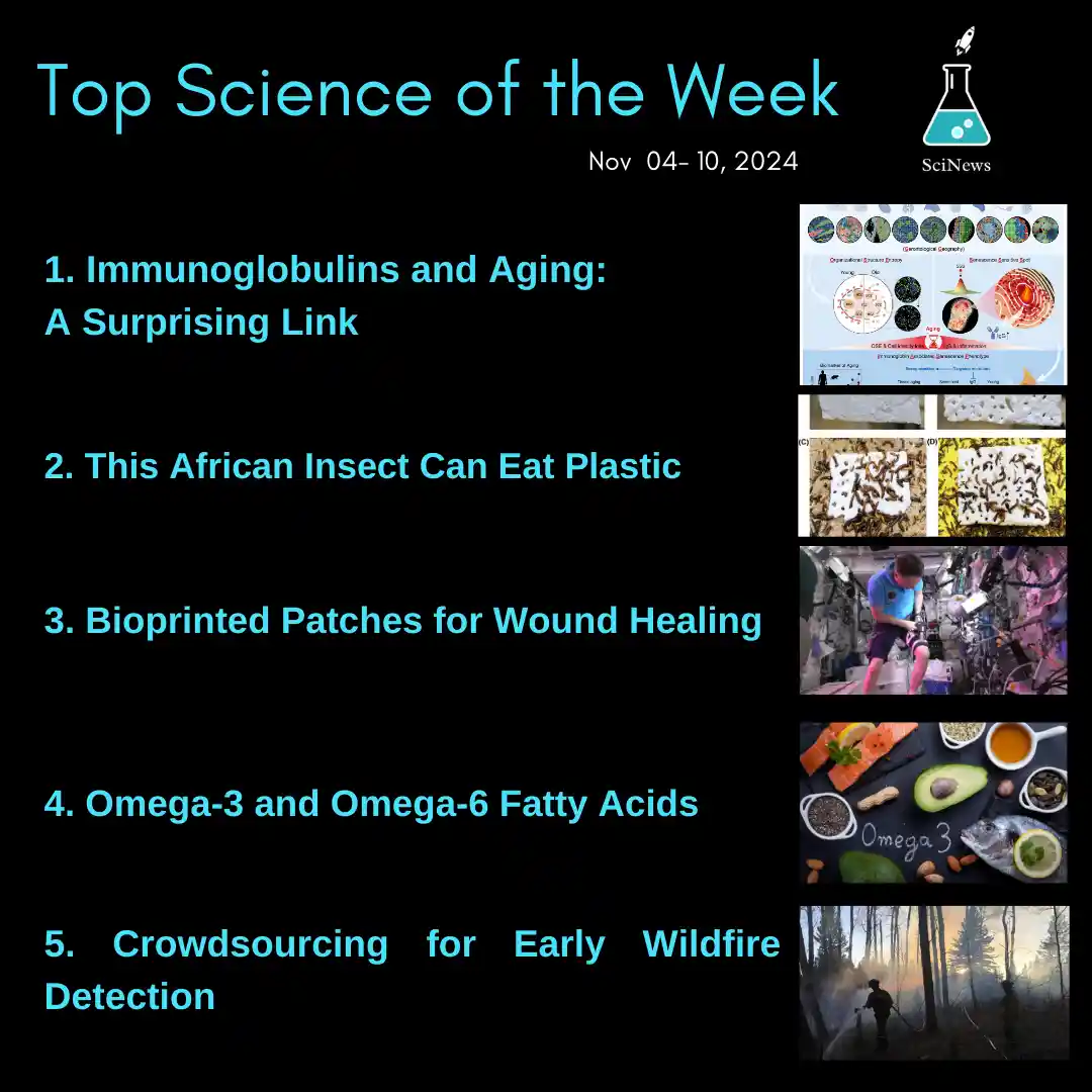 A black background graphic titled 'Top Science of the Week Nov 04-10, 2024' by SciNews, listing five scientific topics with…