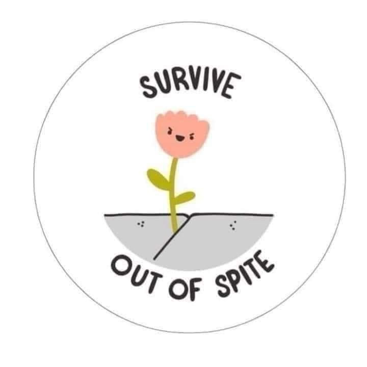 A cartoon pink flower with a grumpy face grows from a cracked gray surface, with the words 'SURVIVE' above and 'OUT OF…