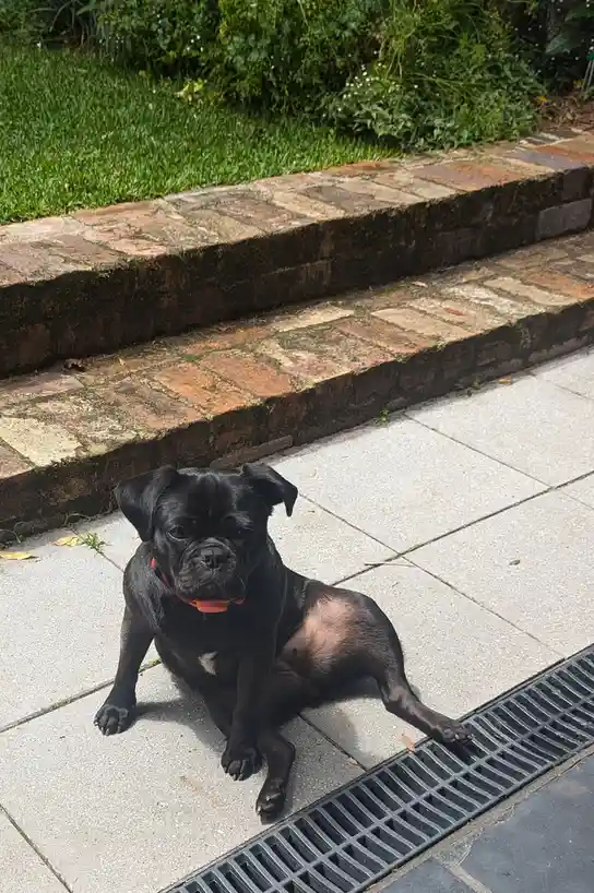 It's My Cake Day! She's Got Curves Like a Truck