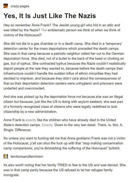 A screenshot of a Reddit post from 'crazy-pages' titled 'Yes, It Is Just Like The Nazis' that argues Anne Frank's death in a…