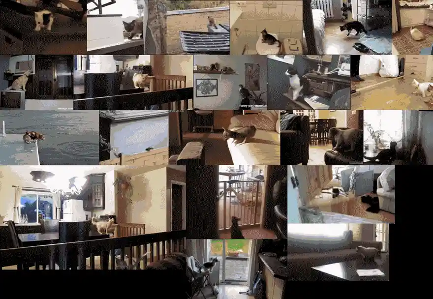 The image is a grid of many small video frames showing a cat moving around a house, sometimes sitting, sometimes walking…