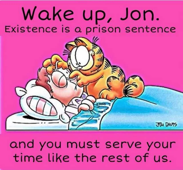 A cartoon image shows Garfield the orange cat waking up his human owner, Jon, who is sleeping in bed. The text overlaid on…