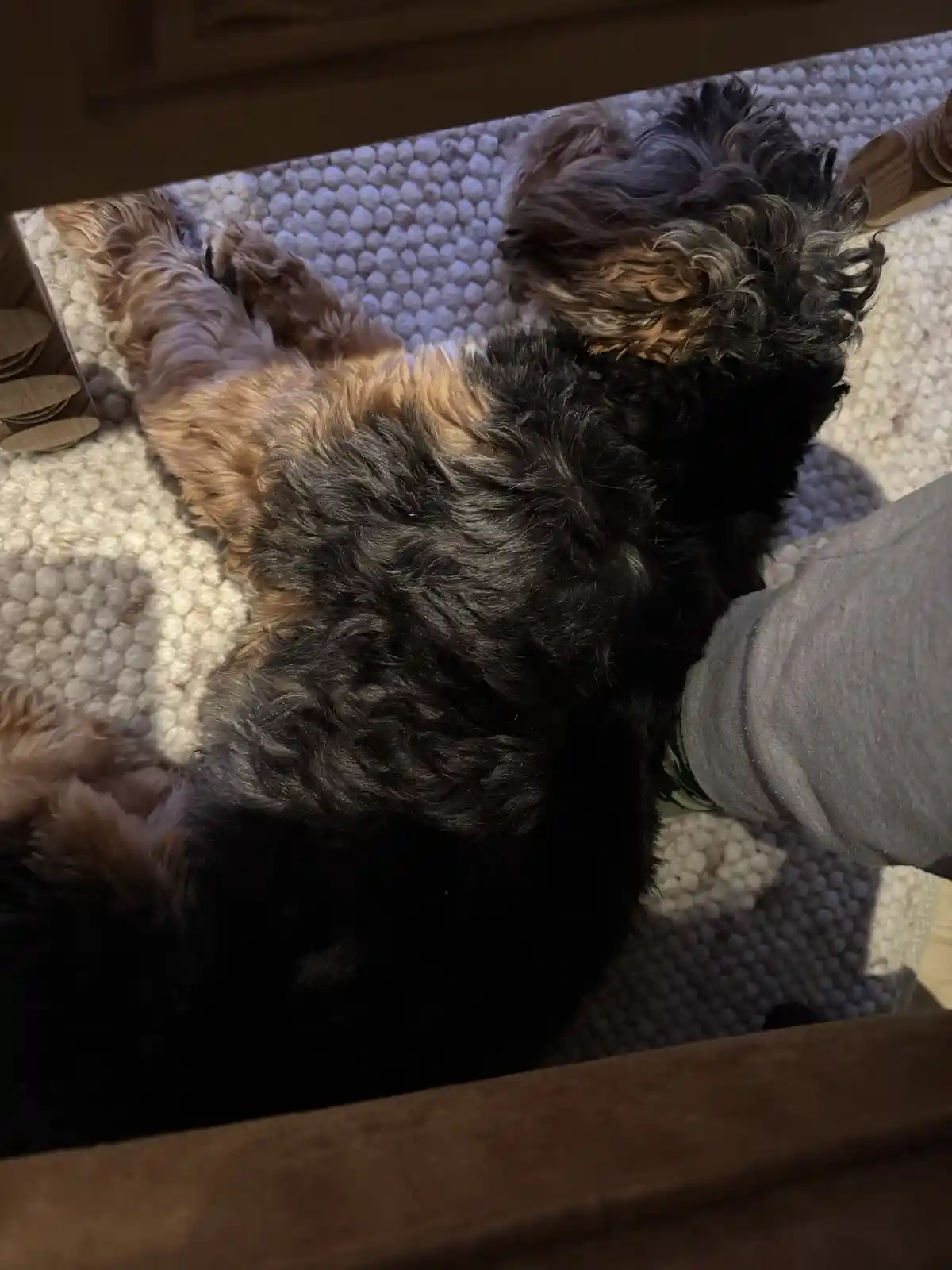 Caught Napping: My Foot Becomes a Cozy Pillow
