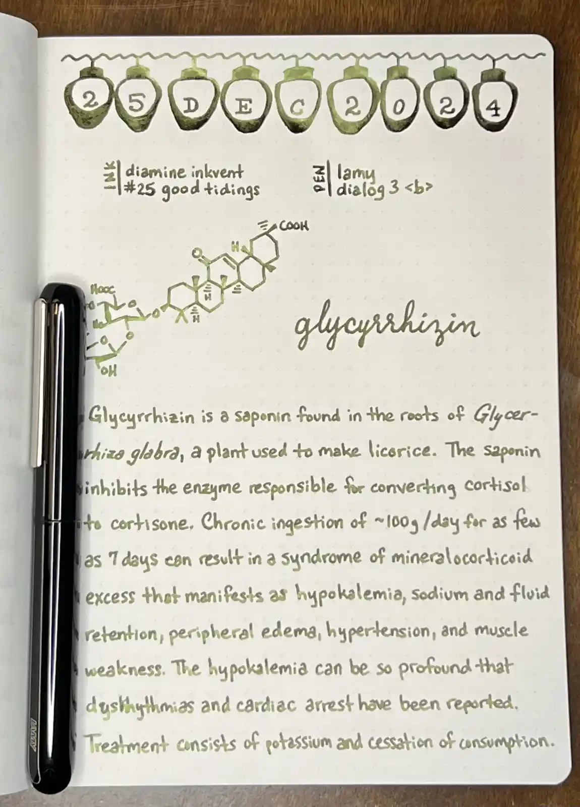 A notebook page dated '25 DEC 2024' features a hand-drawn chemical structure labeled 'glycyrrhizin' and a detailed paragraph…