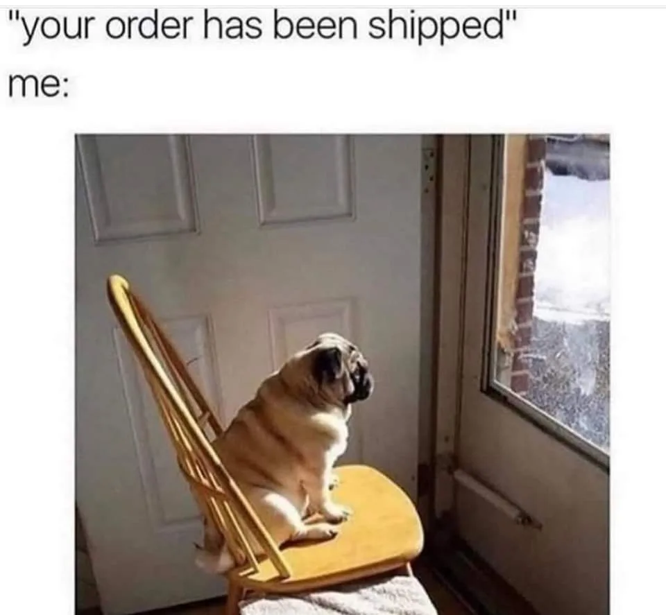 A fawn-colored pug sits patiently on a wooden chair, looking out a window, as if waiting for a delivery. The overlaid text…