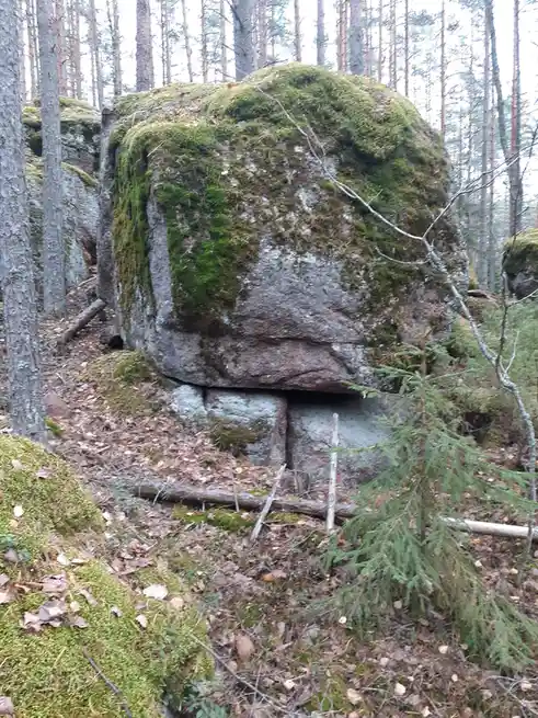 A large, moss-covered boulder in a forest has a small, dark opening underneath it, resembling a cave entrance. The…