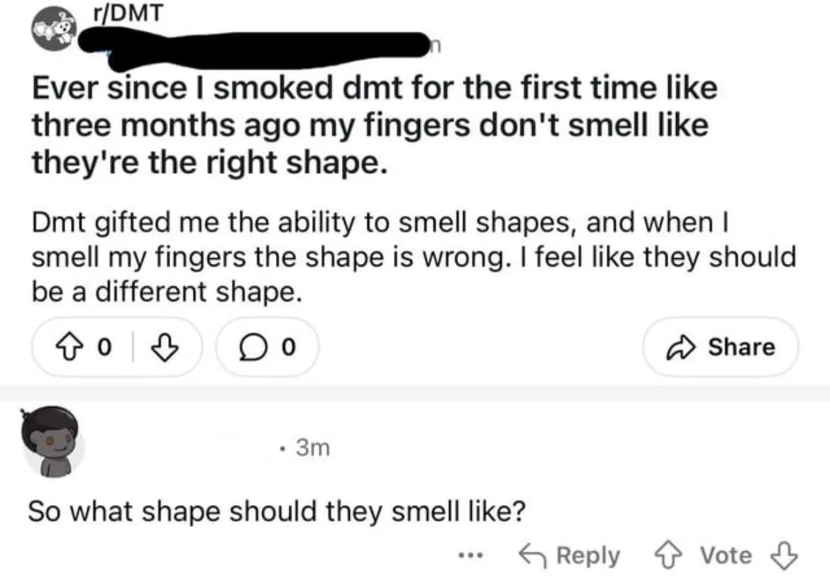 A Reddit post from r/DMT where a user claims smoking DMT gave them the ability to smell shapes, and now their fingers smell…