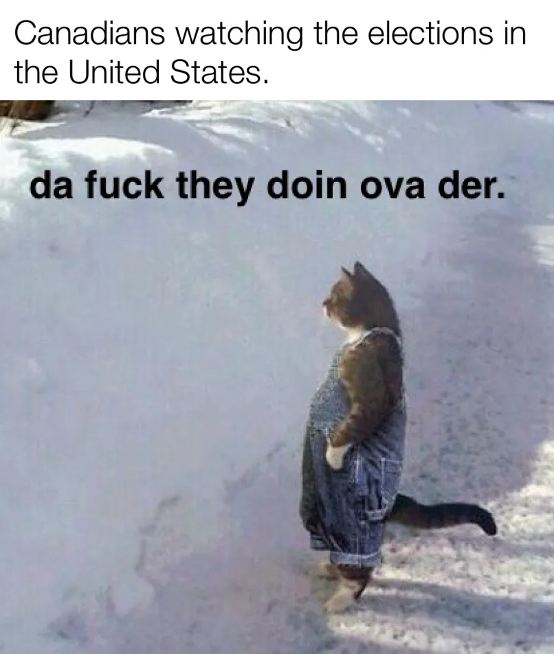 A brown cat wearing denim overalls stands in a snowy landscape, looking away from the camera with a confused or uninterested…