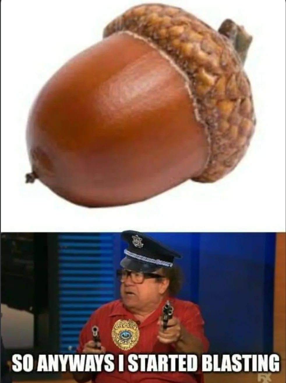 The top panel shows a close-up of a brown acorn against a white background. The bottom panel features a man in a red shirt…