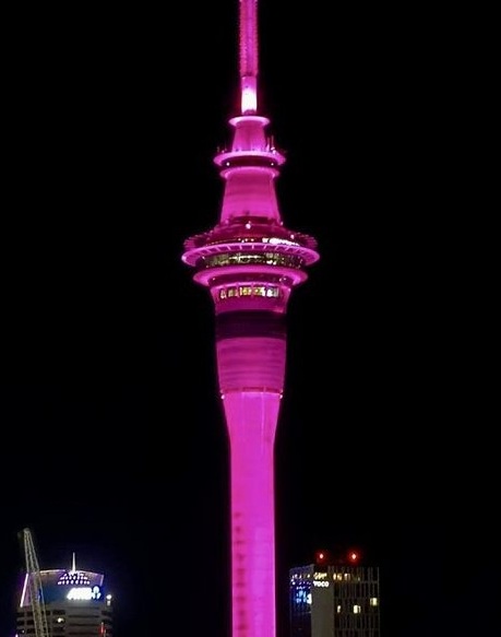 A tall, slender tower illuminated in bright pink against a dark night sky, with faint city buildings visible at the bottom…