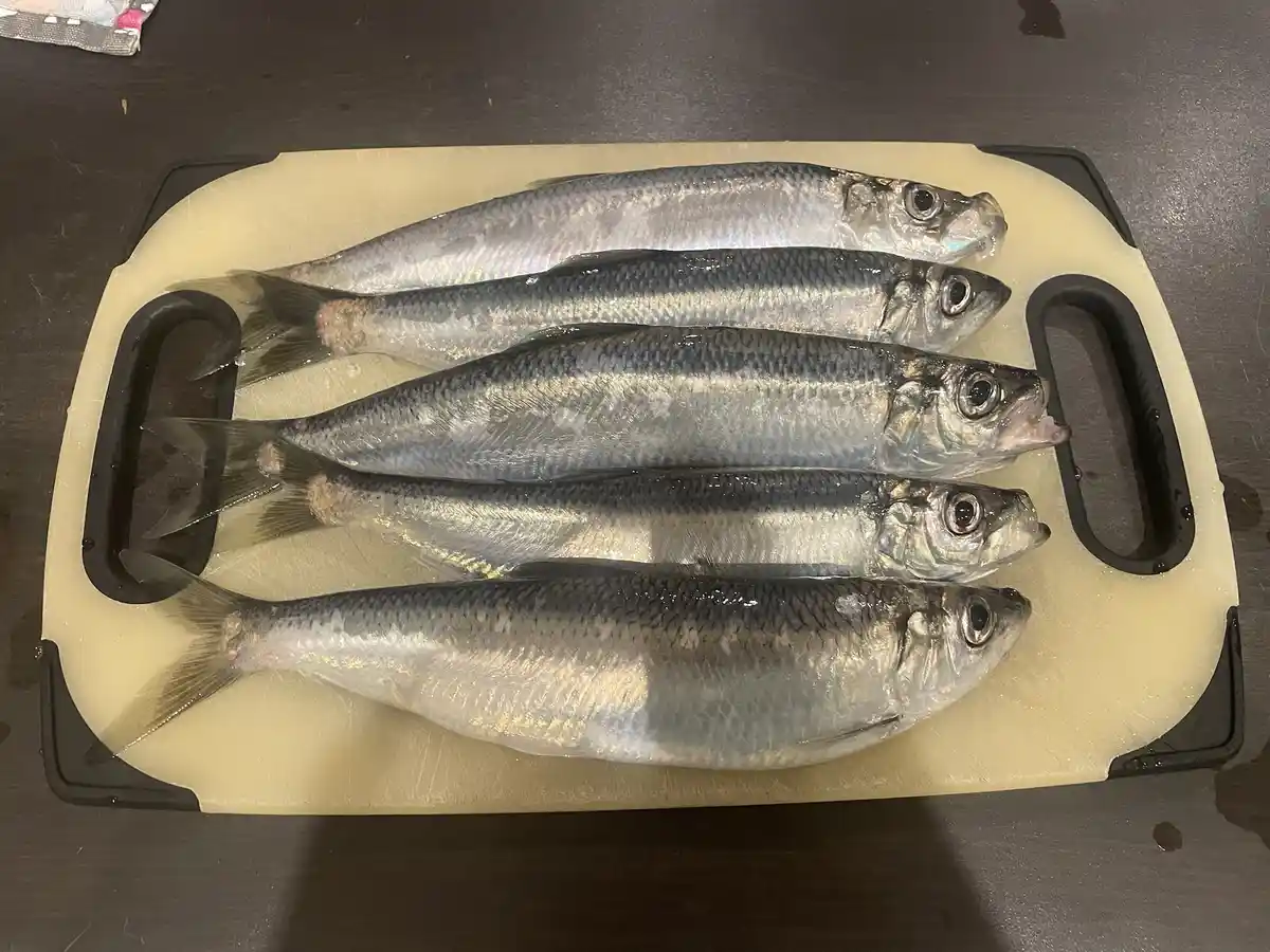 Five whole, shiny silver fish are arranged neatly in a row on a beige plastic cutting board with black handles, resting on a…
