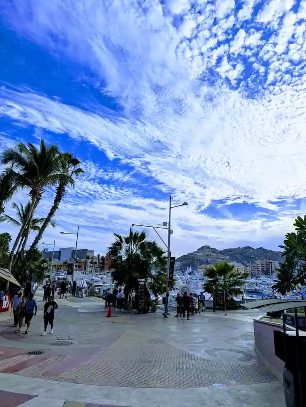 Cabo Adventures Await!