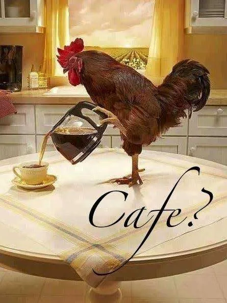 A realistic photo of a brown rooster standing on a kitchen table, holding a coffee pot and pouring coffee into a cup. The…