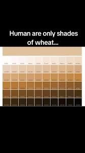 The image displays a color chart with multiple rows of rectangular swatches showing various shades of brown, beige, and tan…