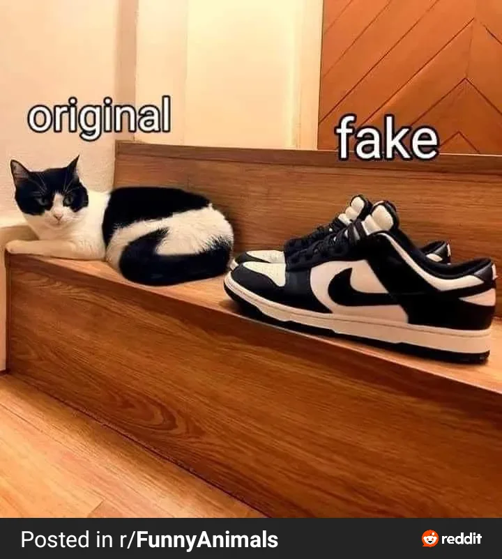 A black and white cat lounging on a wooden step is labeled 'original' while a pair of black and white Nike Dunk sneakers…