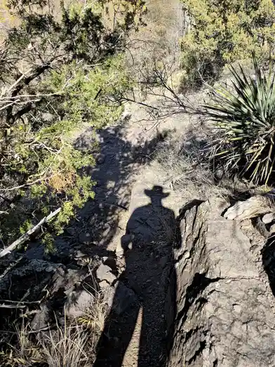 A shadow of a person wearing a cowboy hat is cast on a rocky, narrow hiking trail surrounded by desert vegetation like…