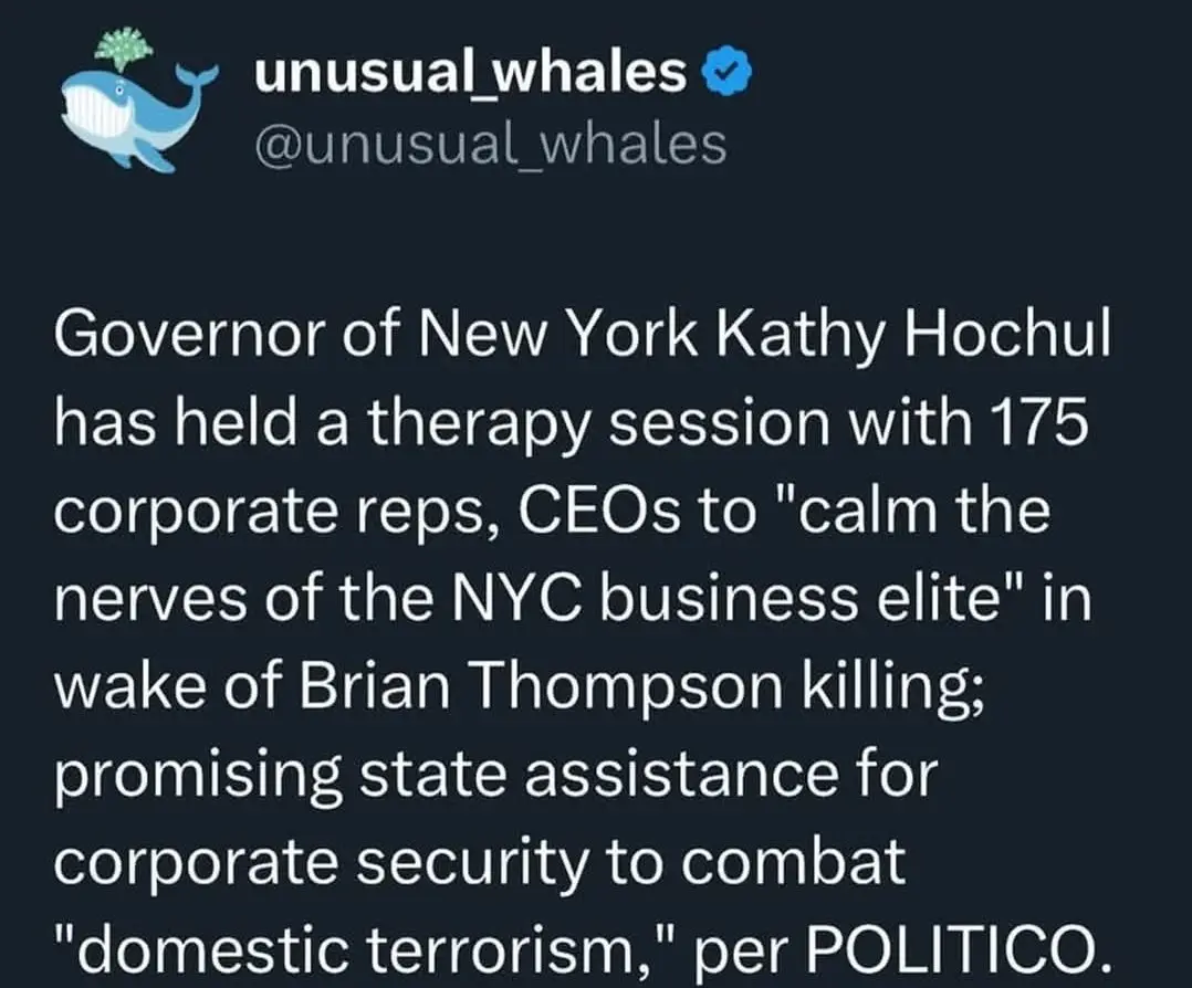 A screenshot of a tweet from the verified account @unusual_whales, which states that New York Governor Kathy Hochul held a…