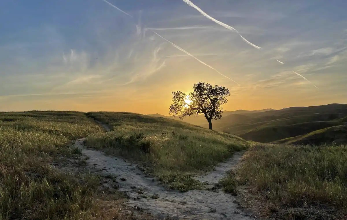 A serene landscape photo shows a dirt path winding through grassy hills toward a solitary tree silhouetted against a sunset…
