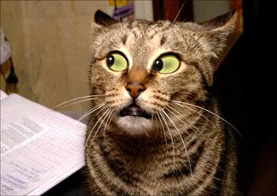Mondays have me feeling a certain way...
