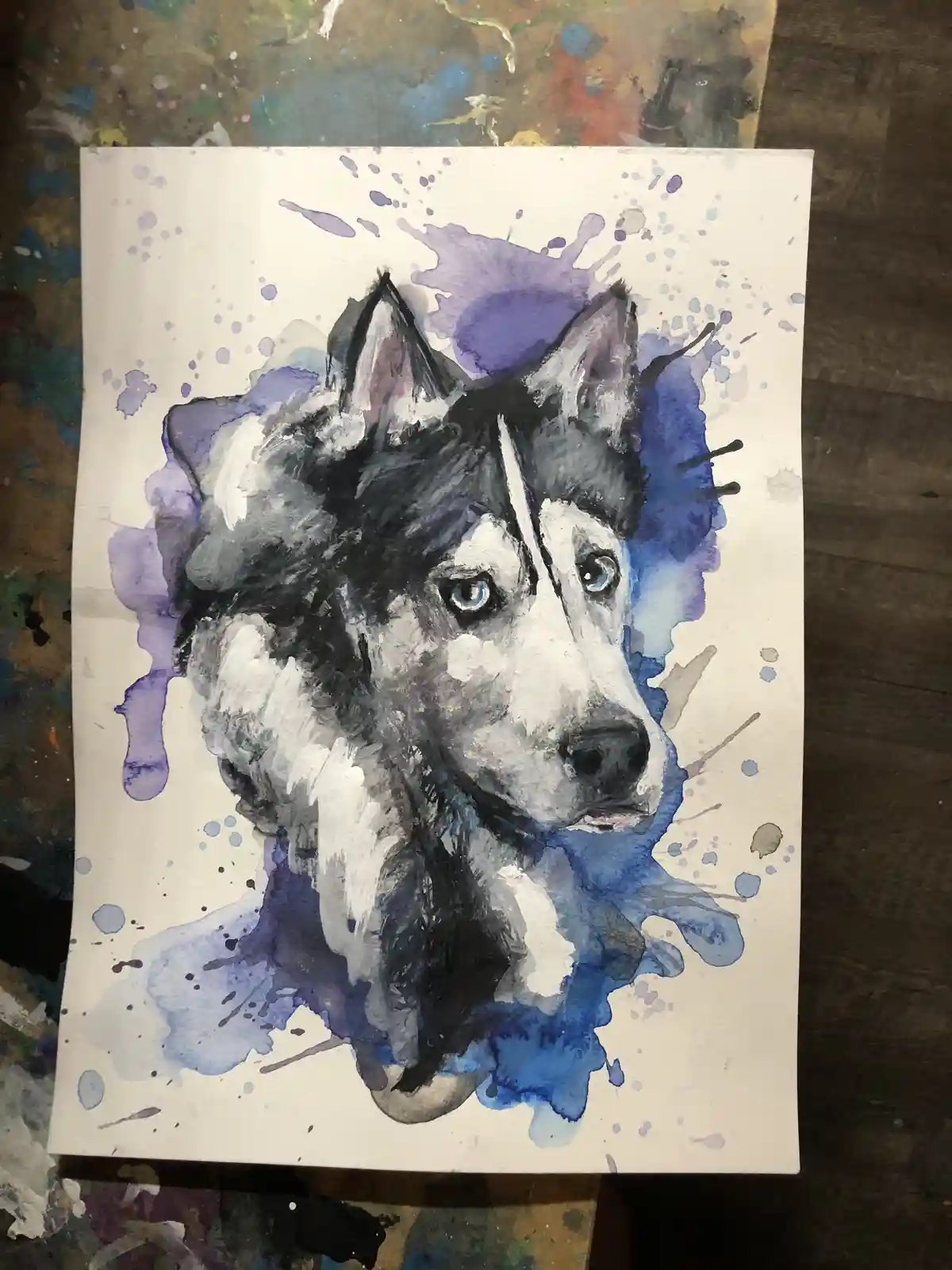 A watercolor painting of a husky dog's head with blue and purple paint splatters around it, resting on a paint-splattered…
