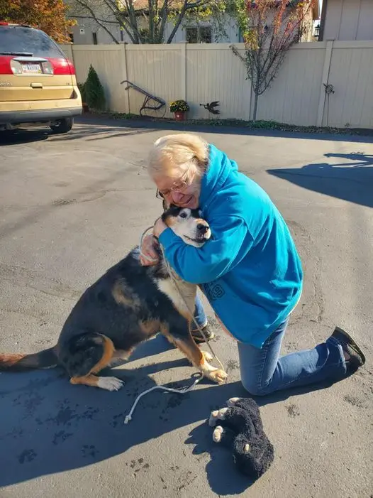 An older woman in a blue hoodie kneels on a driveway, hugging a large black, tan, and white dog that is sitting down. The…