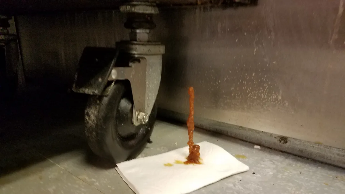 Celebrating My Cakeday with a Fryer Surprise