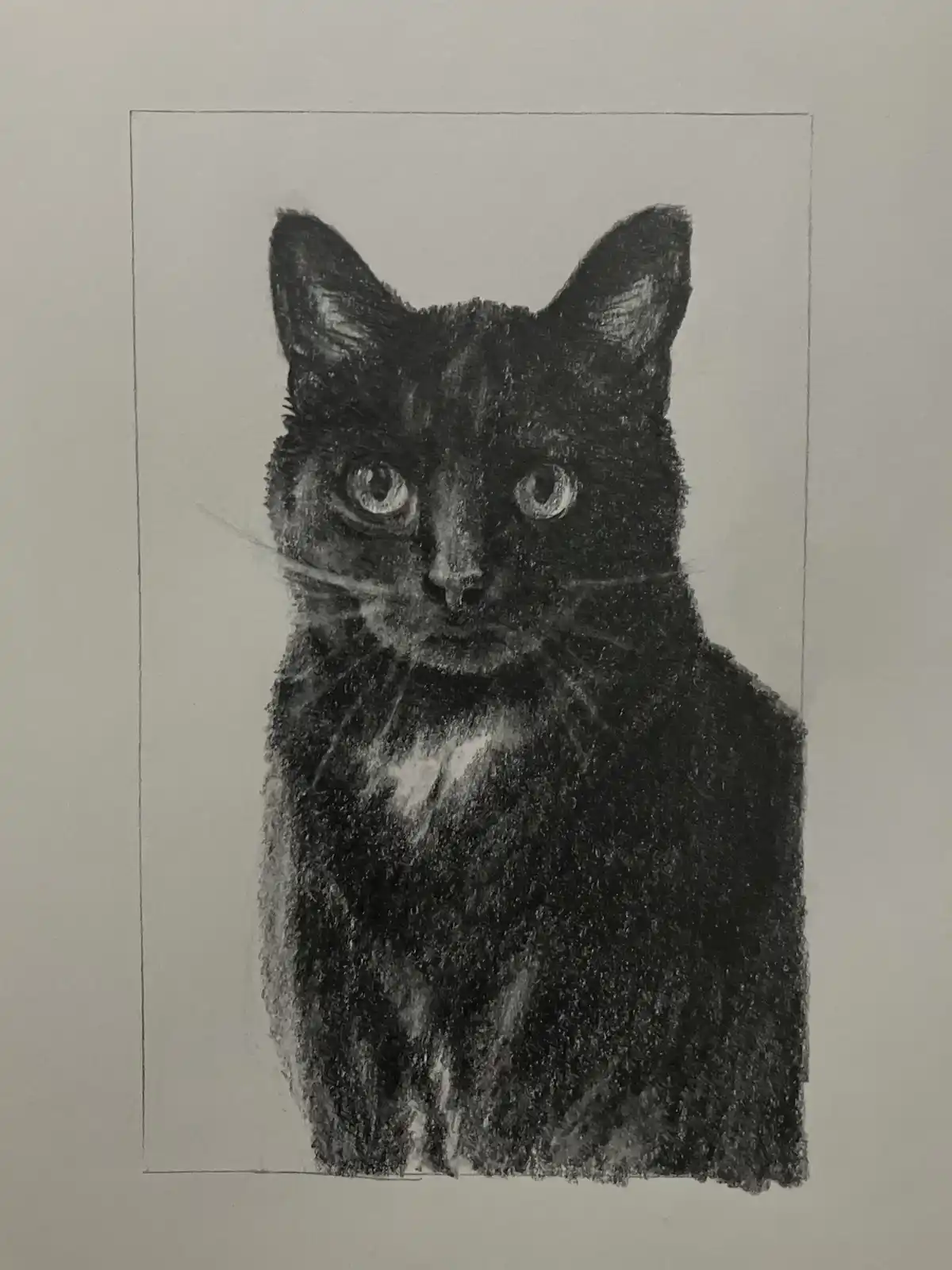A detailed charcoal drawing of a black cat with a white patch on its chest, staring directly forward with wide eyes. The cat…