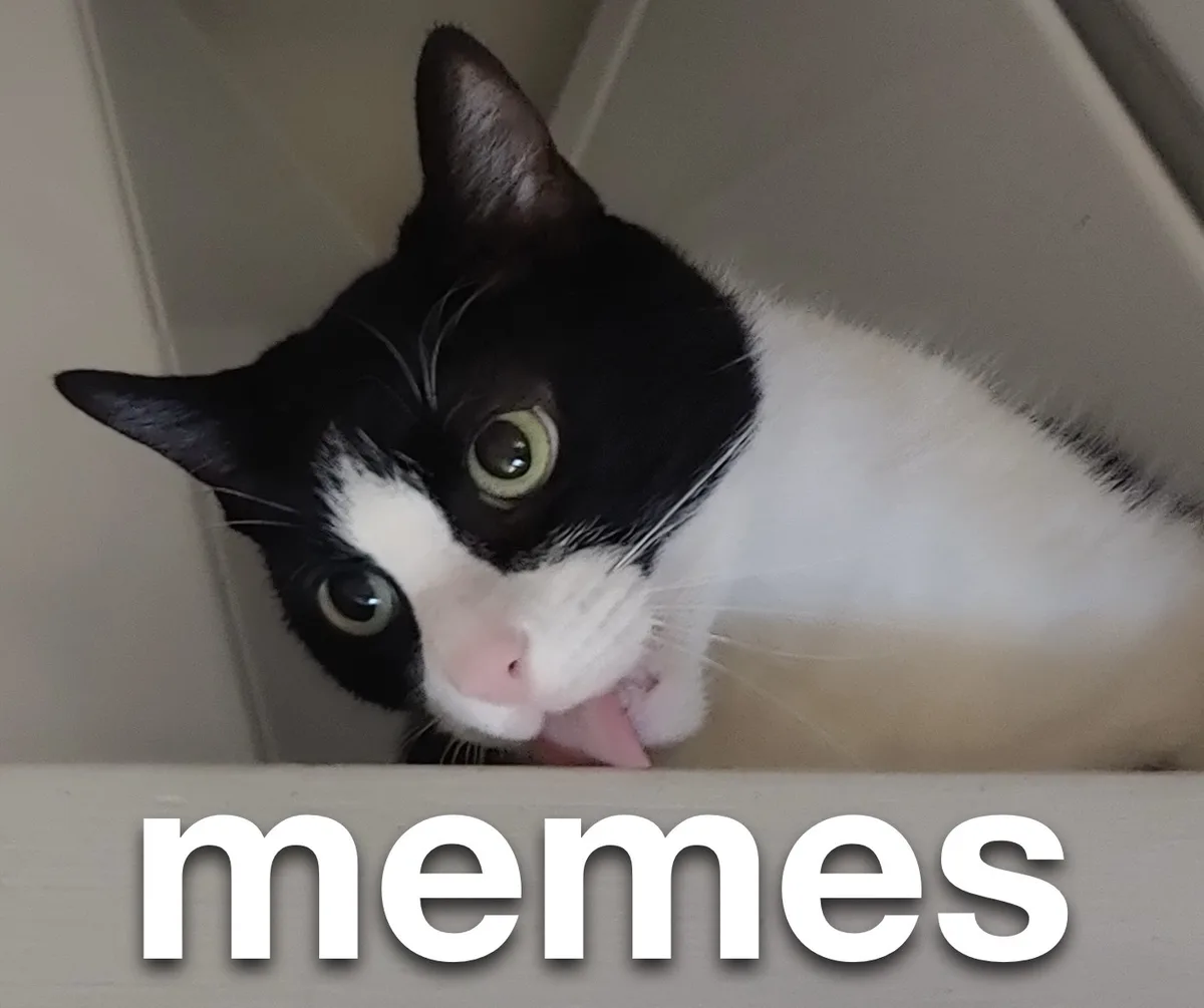 The World of Memes