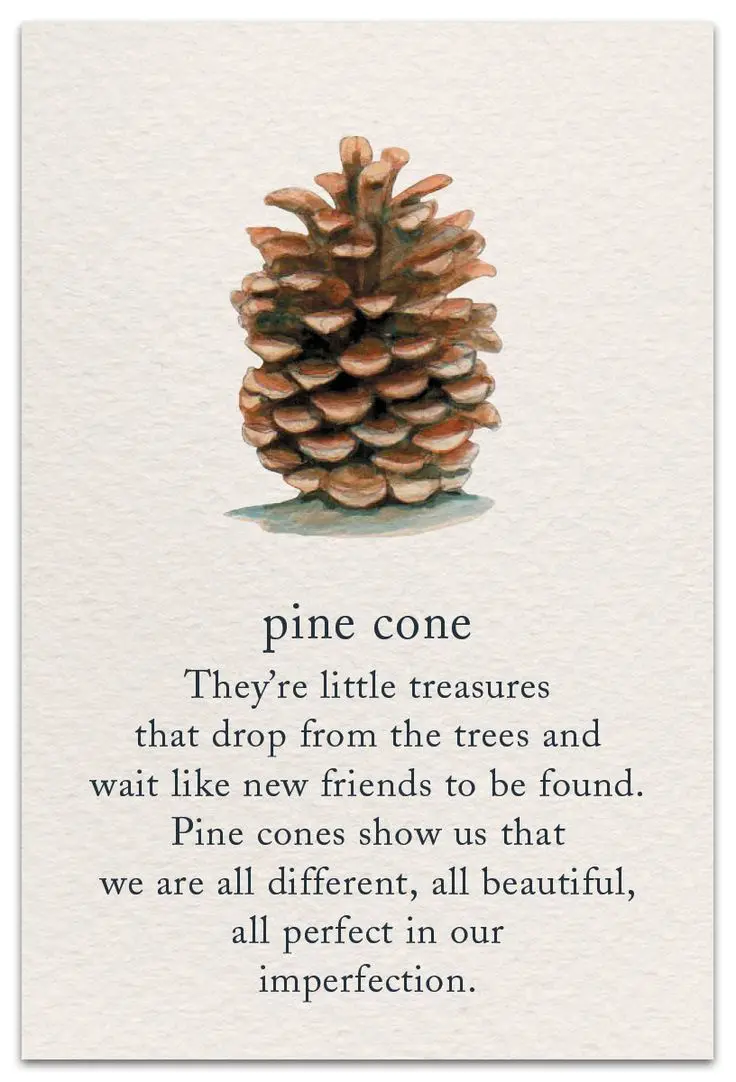 Looks like we're sharing pinecones now!