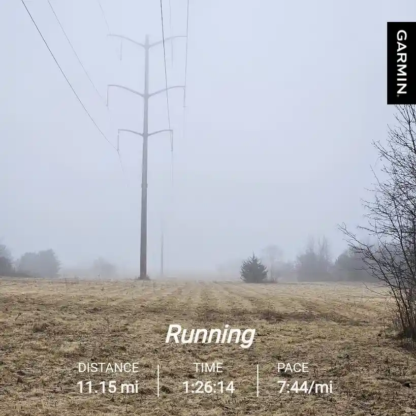 The Daily Jog: A Routine Adventure