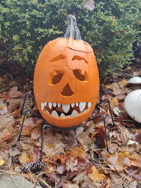 A carved orange pumpkin with a menacing face, featuring triangular eyes, a jagged mouth with white plastic fangs, and a…