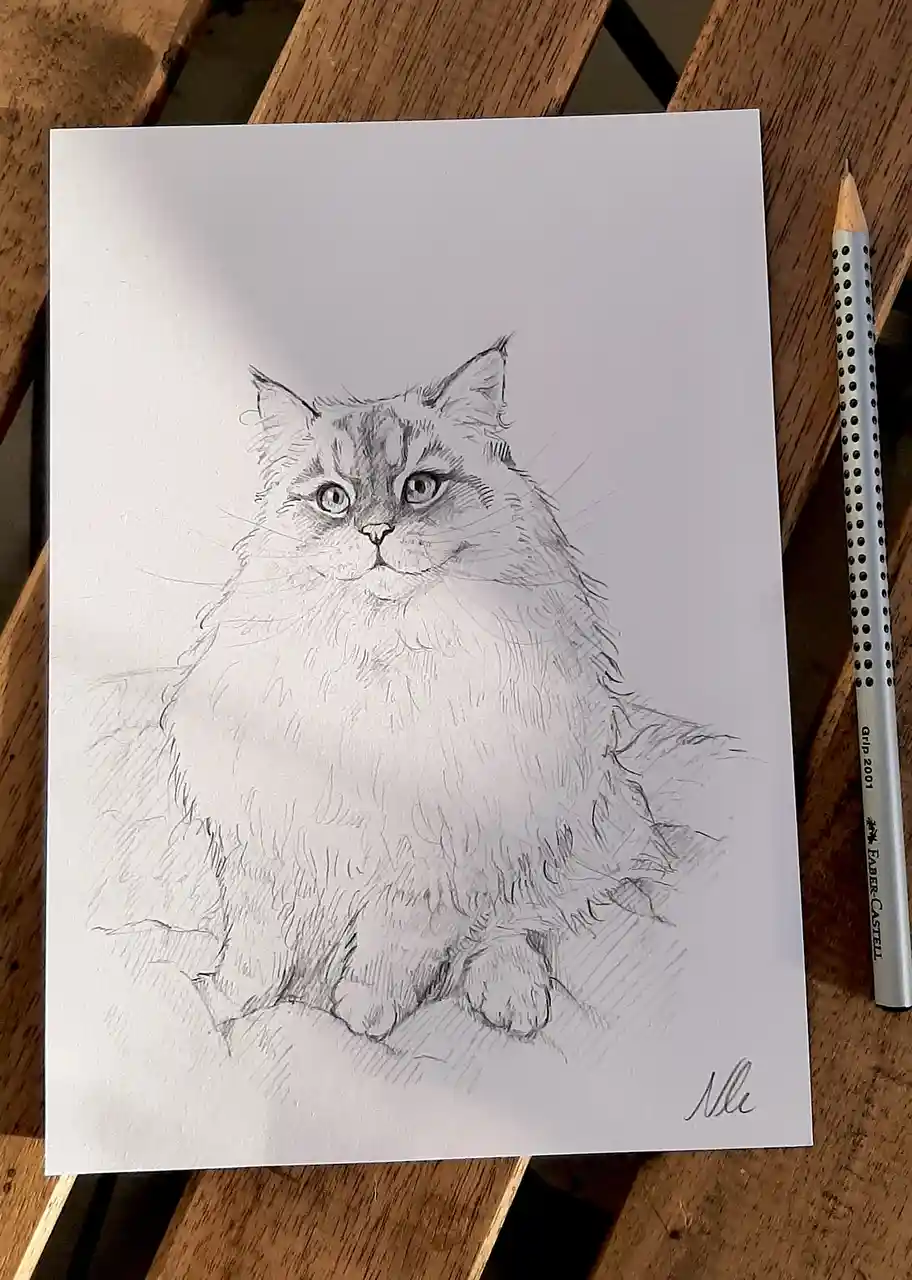 A detailed pencil sketch of a fluffy cat sitting upright on a white sheet of paper, placed on a wooden surface with a…