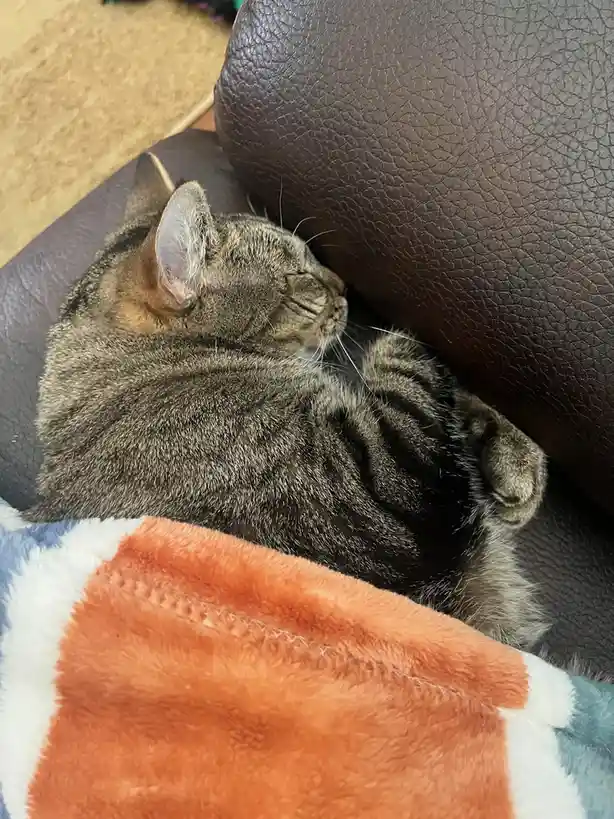 Please, No Photos... I'm Not Ready for My Close-Up