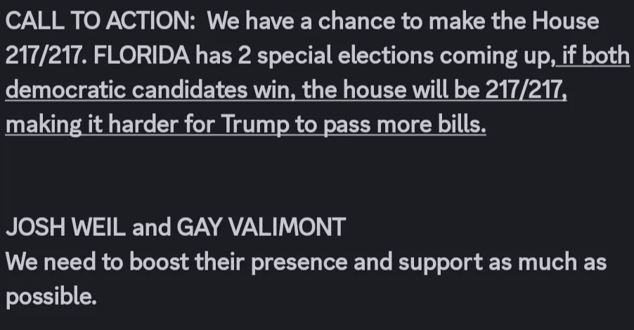 A dark background image displays white text calling for support of two Florida Democratic candidates, Josh Weil and Gay…