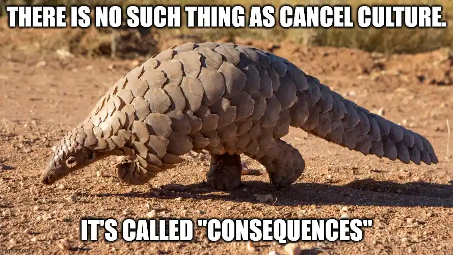 A pangolin walks across dry, dusty ground, its body covered in distinctive overlapping scales. White bold text overlays the…