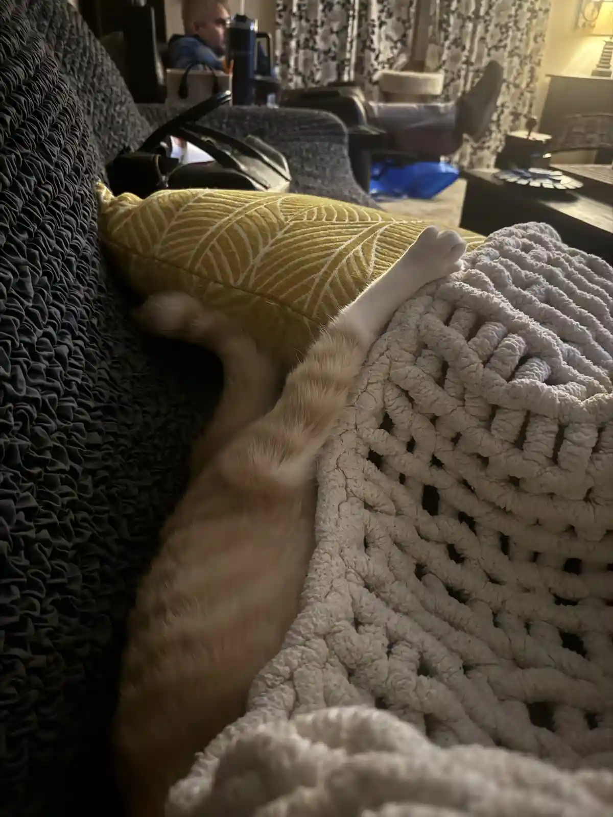 A ginger cat is lying on its back on a dark gray couch, one paw stretched out over a thick white knit blanket, appearing…
