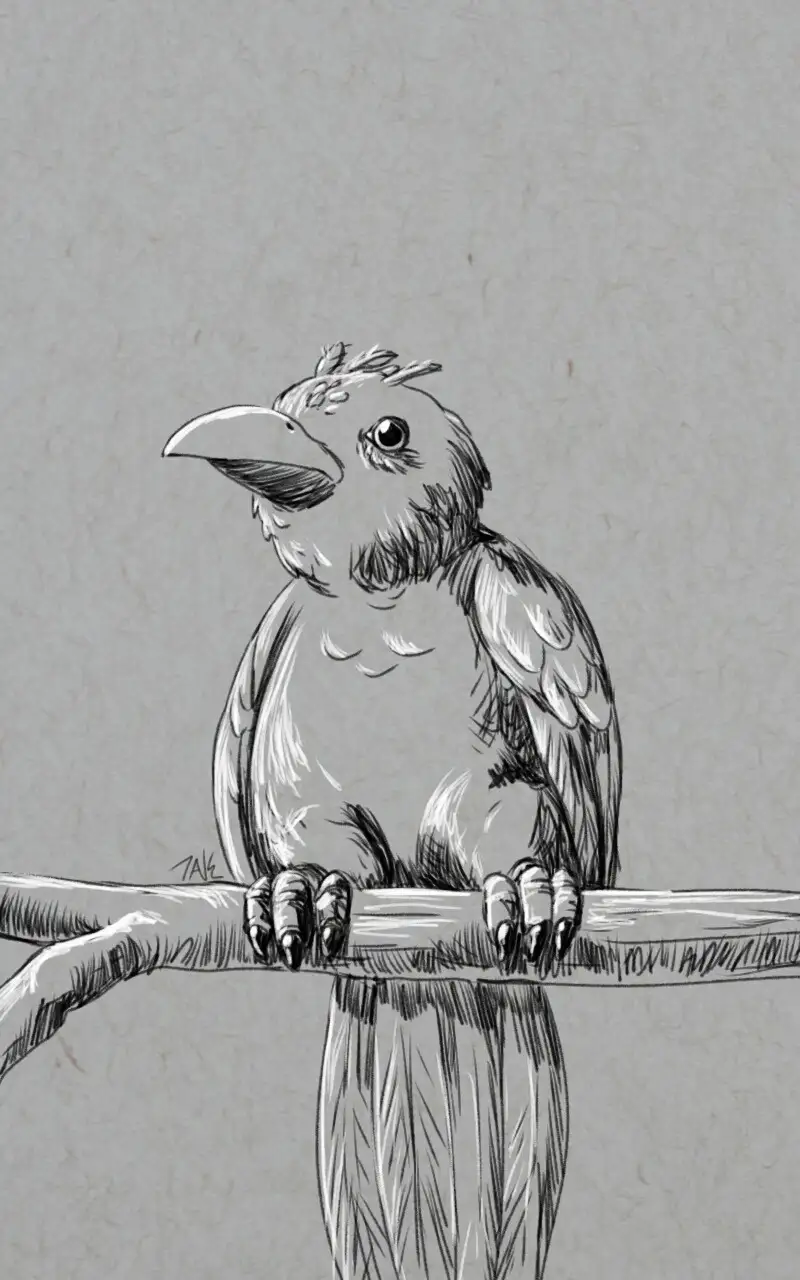 A black-and-white sketch of a bird perched on a branch, with a human-like face and expression, looking directly at the…