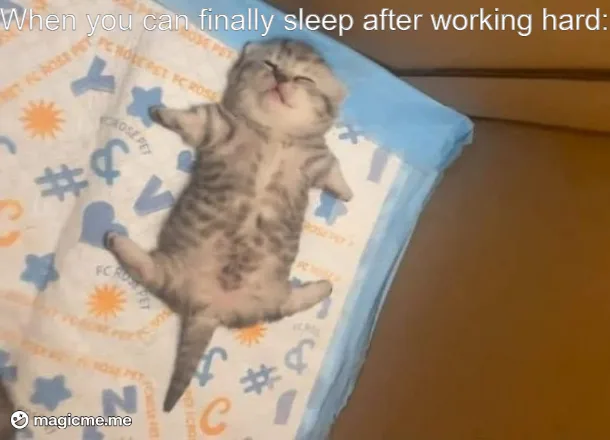At last, sweet slumber has arrived.